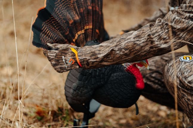 turkey hunting