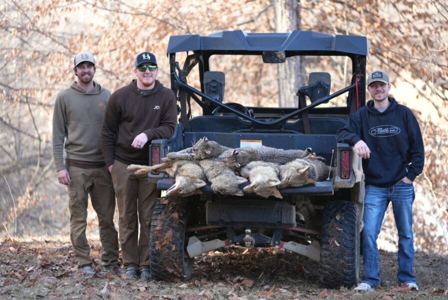 Predator Management For A Healthy Deer Herd