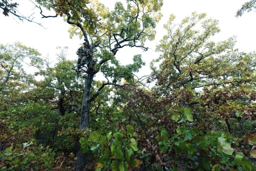 There’s A New Legend Walking The Woods