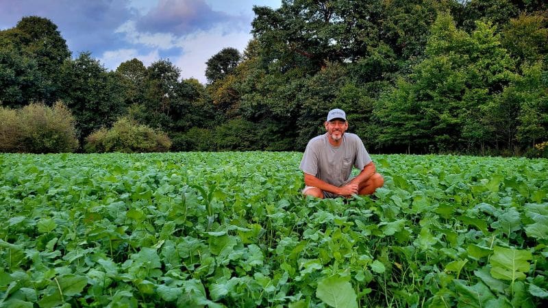Food Plots On A Dime
