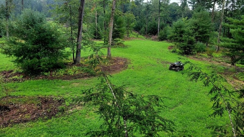 Food Plots On A Dime