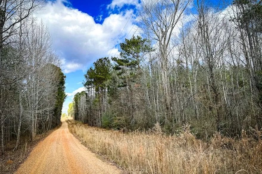 Land Investment Strategies For Hunting