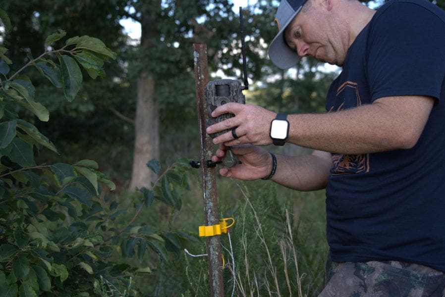 Get The Cameras Back Out: Why Spring And Early Summer Is Prime Time For Game Camera Intel