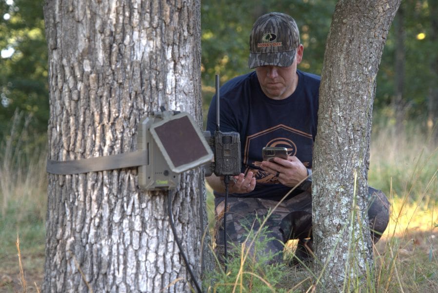 Get The Cameras Back Out: Why Spring And Early Summer Is Prime Time For Game Camera Intel