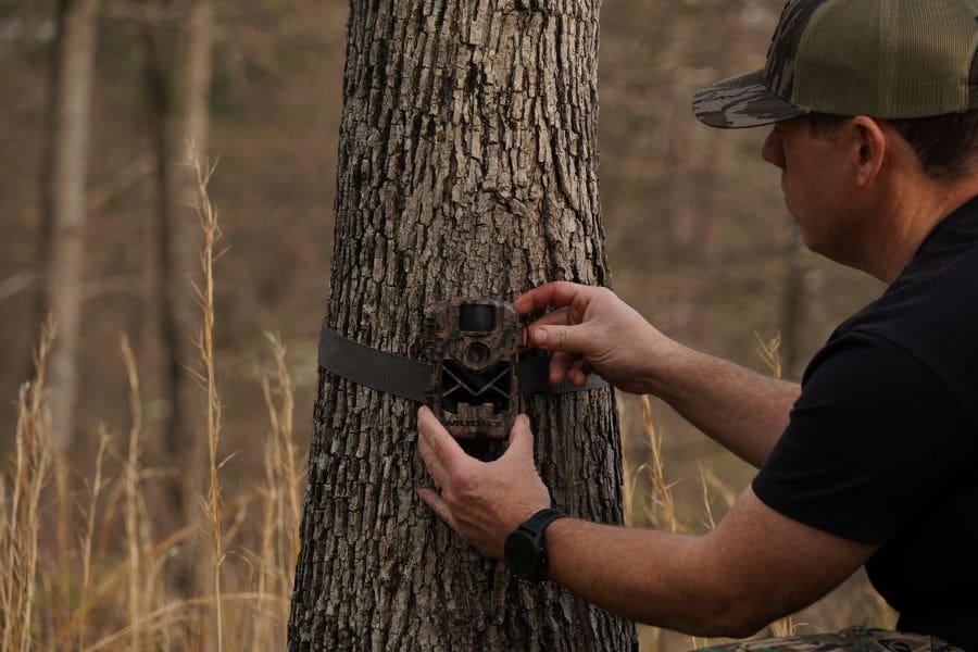 Get The Cameras Back Out: Why Spring And Early Summer Is Prime Time For Game Camera Intel