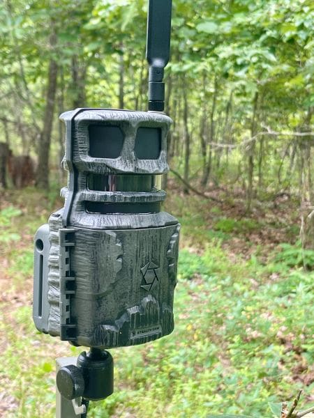Get The Cameras Back Out: Why Spring And Early Summer Is Prime Time For Game Camera Intel