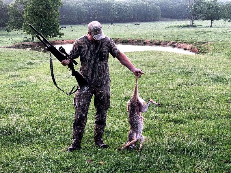 Save The Fawns: Minerals, Better Nutrition, And Predator Control