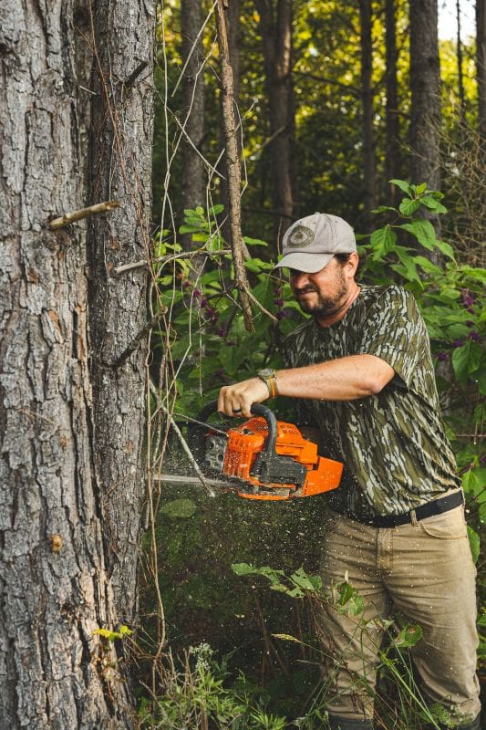 Save The Fawns: Minerals, Better Nutrition, And Predator Control