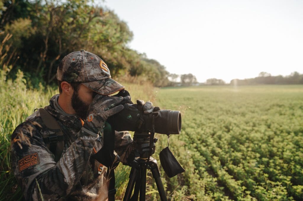 Summer Scouting For Public Land Whitetails