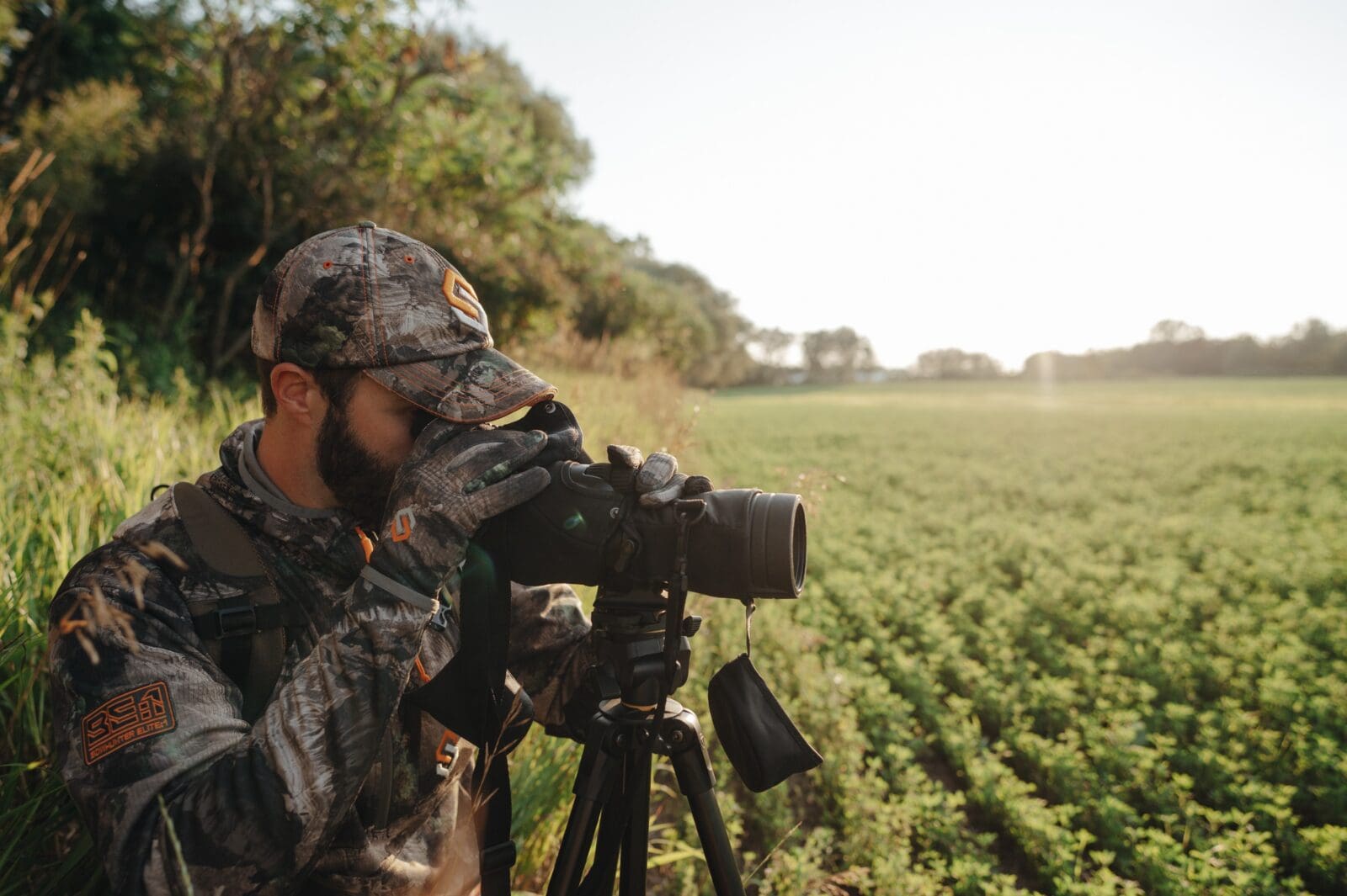 Summer Scouting for Public Land Whitetails | Scentlok Technologies