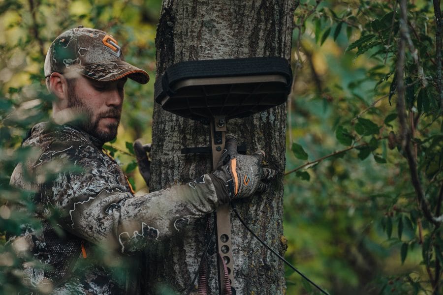 Summer Scouting For Public Land Whitetails