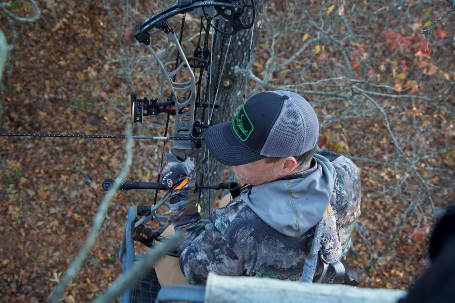 Hang Tight Or Saddle Up Choosing The Best Setup For Whitetail Hunting