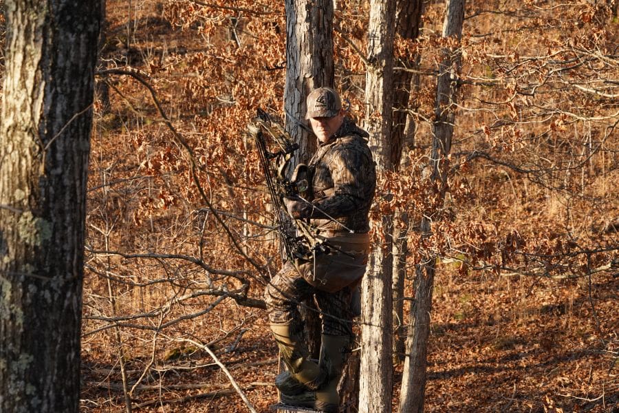 Hang Tight Or Saddle Up Choosing The Best Setup For Whitetail Hunting