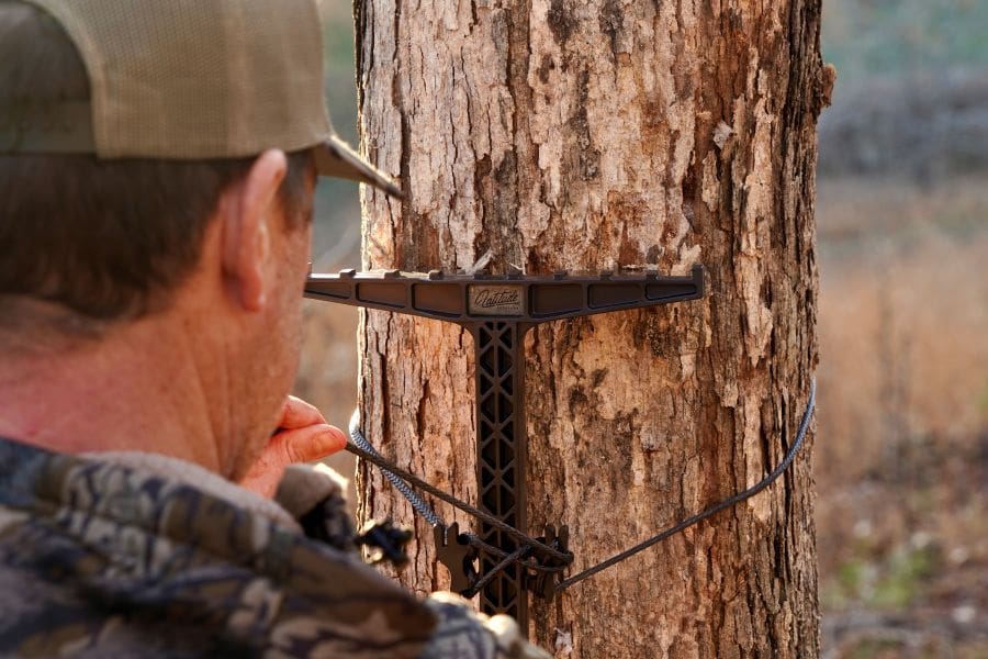 Hang Tight Or Saddle Up Choosing The Best Setup For Whitetail Hunting