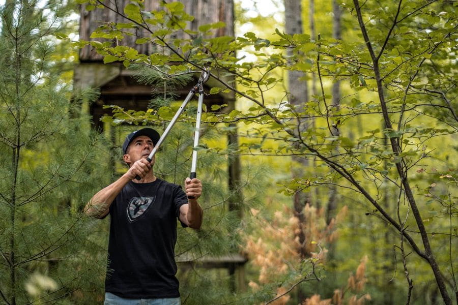 Last Minute Stand/blind Setups In August
