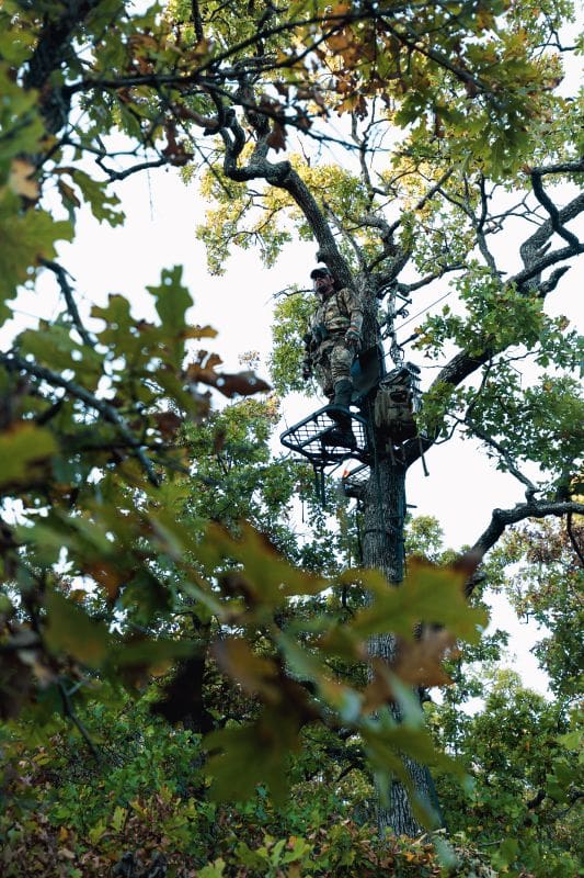 Early Season Deer Hunting – Beat The Heat