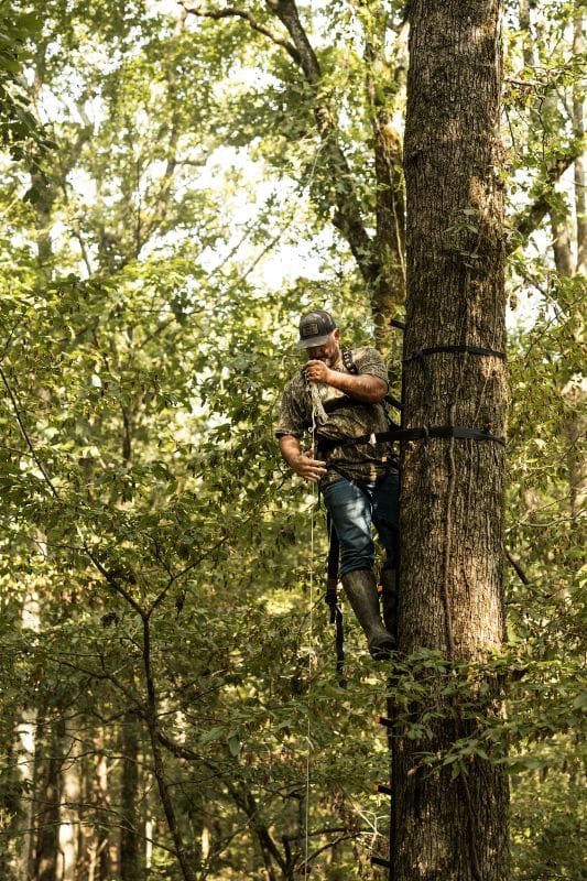 Last Minute Stand/blind Setups In August