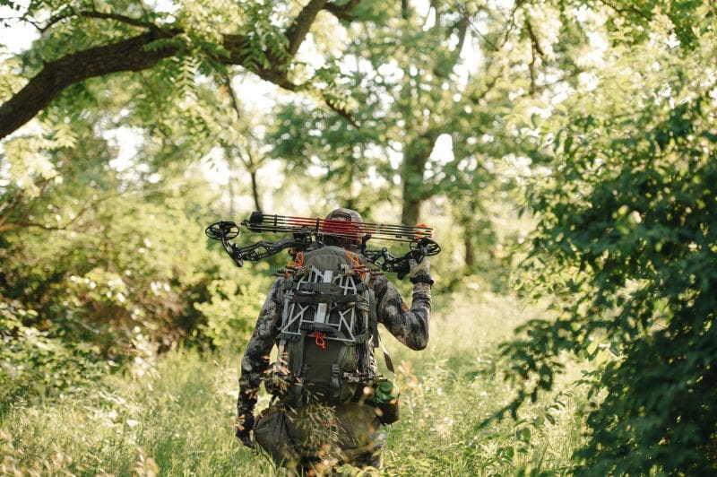 Decoding Bed To Feed Patterns For Early Season Whitetails