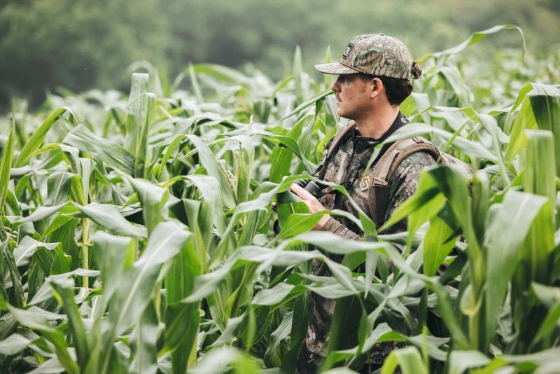 Decoding Bed To Feed Patterns For Early Season Whitetails