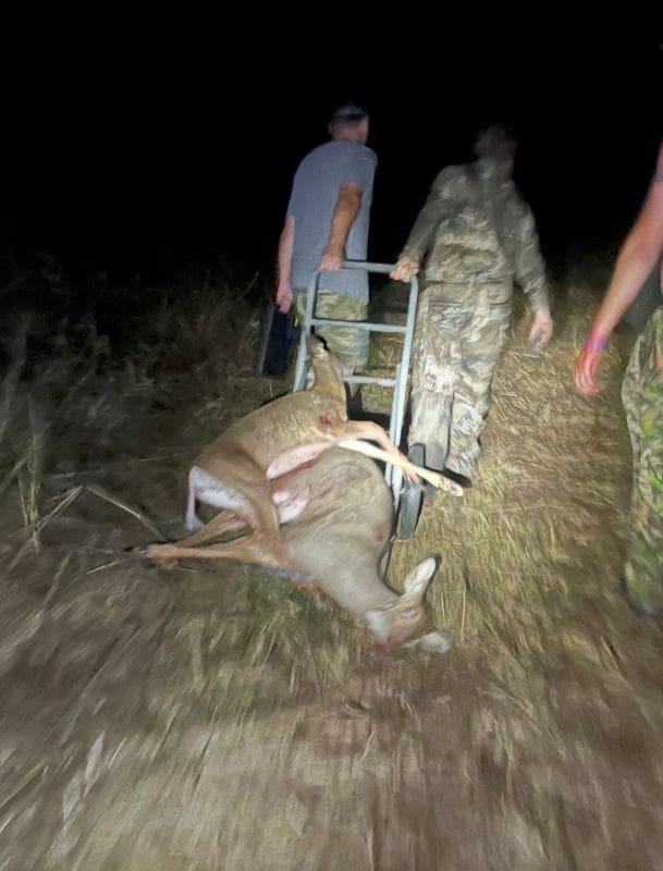Pros And Cons Of Shooting Does In September