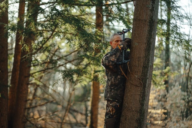 Tips From The Saddle Czar 