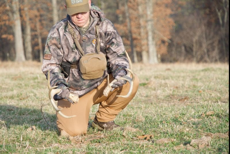 The Secrets Of Successful Shed Hunting: How To Find Antlers When Others Come Up Empty