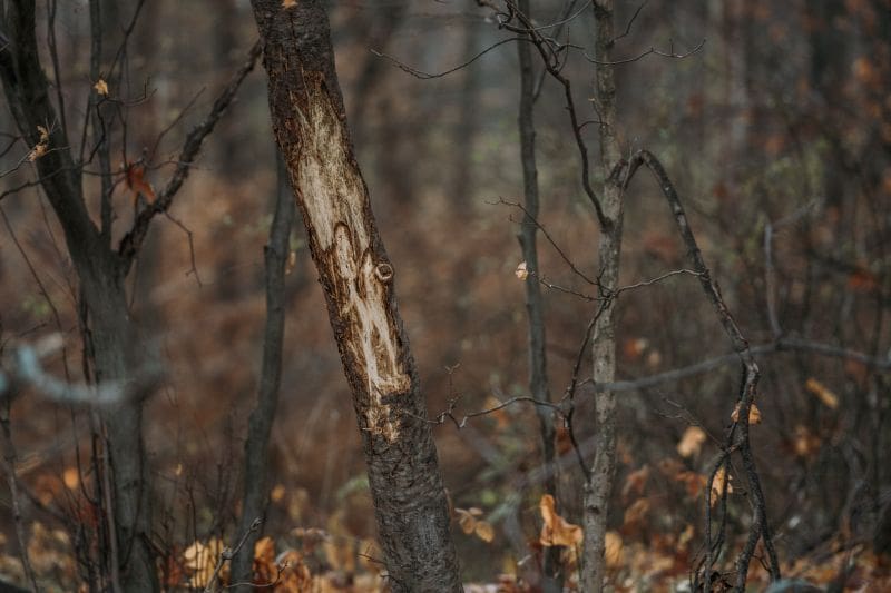 The Post Season Advantage: How January And February Set The Tone For Next Fall