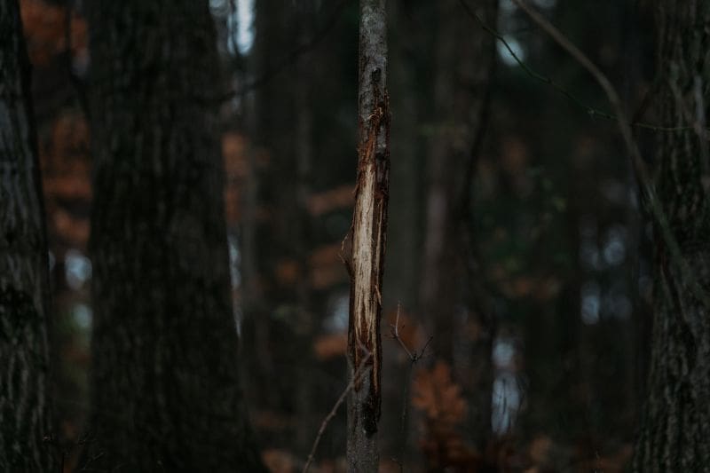 The Post Season Advantage: How January And February Set The Tone For Next Fall