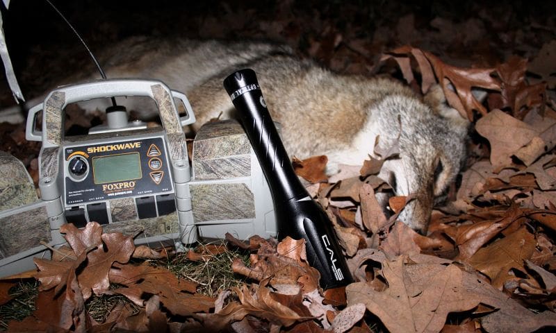 Why February And March Are Prime Time For Night Coyote Hunting