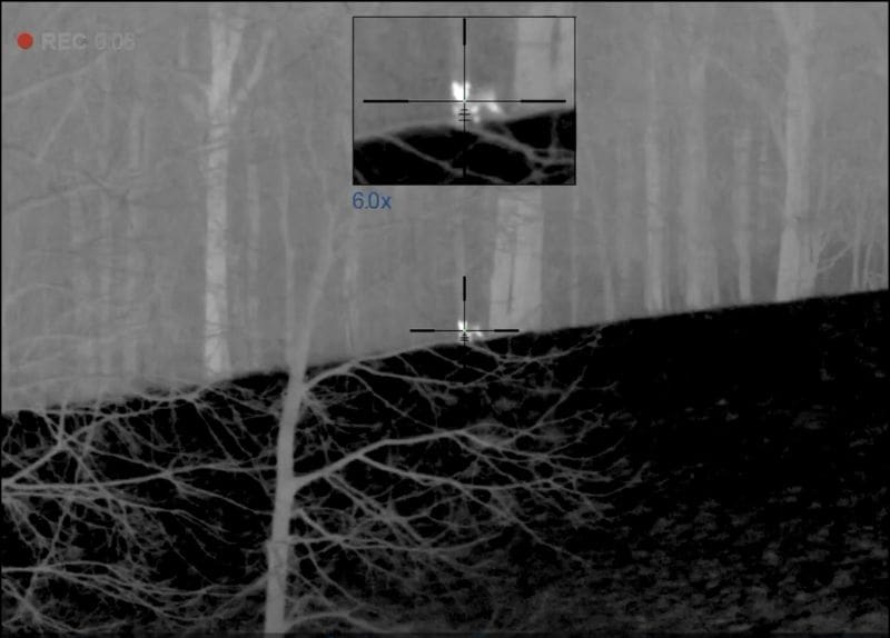 Why February And March Are Prime Time For Night Coyote Hunting