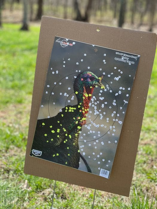 What Ammo Is The Best For Turkey Hunting?