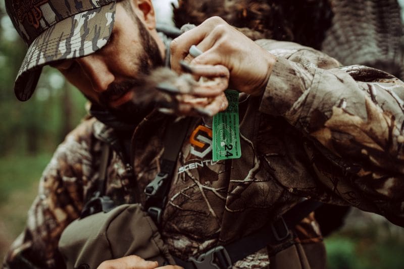 Turkey Hunting In Hot Weather What Tactics Change