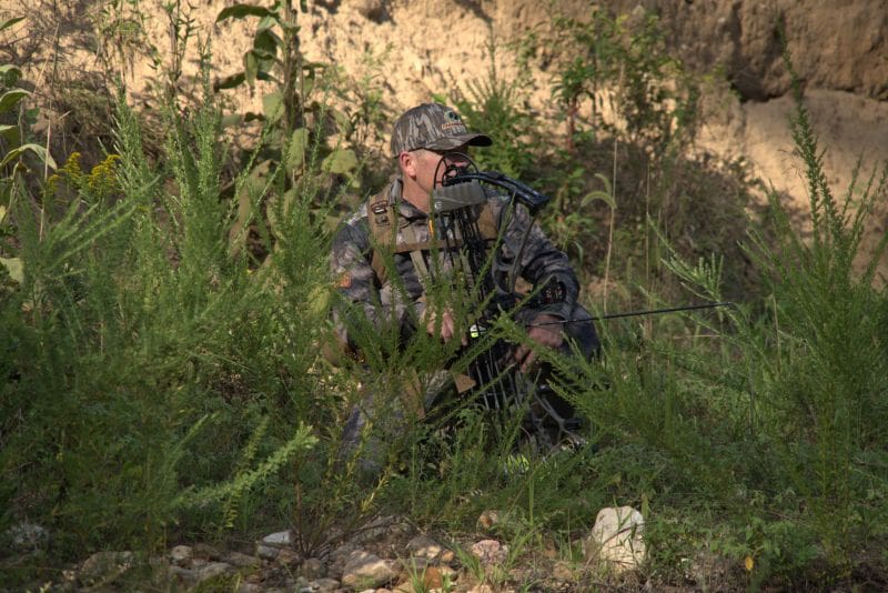 Best Broadhead And Arrow Setups For Mature Whitetails
