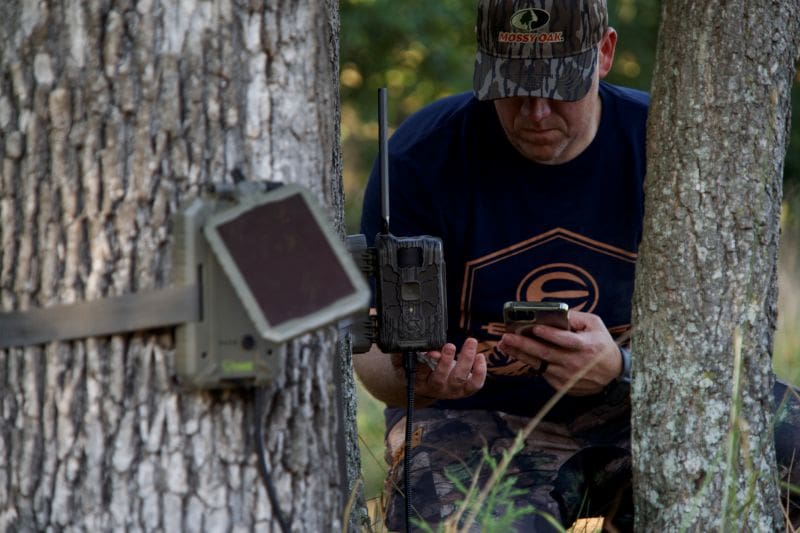 How Fawns Can Help Predict This Year's Rut