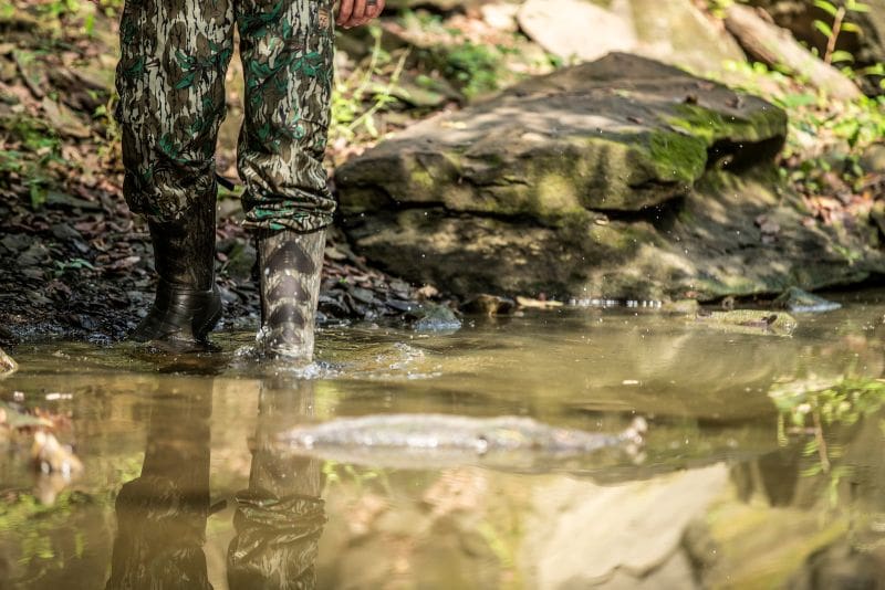 Watering Holes: Game Cameras Hotspot For Summer