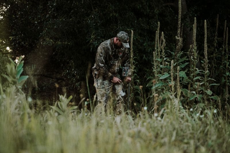 Focus On Water And Food During Early Season
