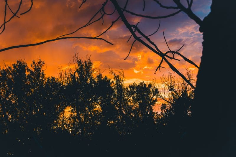 Don’t Cut Morning Hunts Out Completely During Early Season