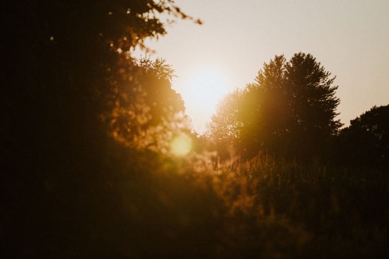 Don’t Cut Morning Hunts Out Completely During Early Season