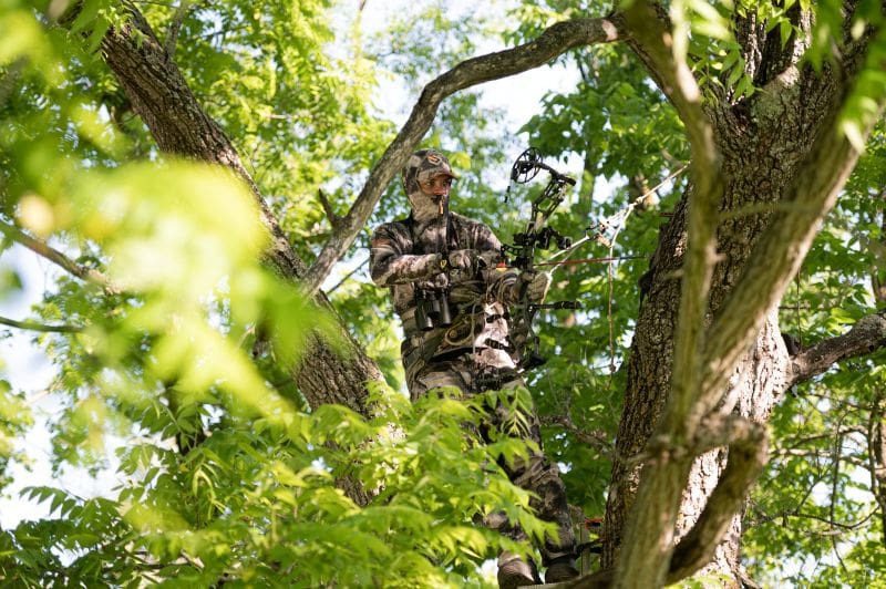 Should You Hunt Your Best Buck Early