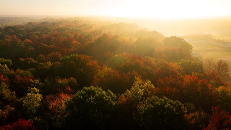 When To Get Aggressive On October Bucks