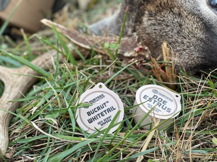 When To Get Aggressive On October Bucks